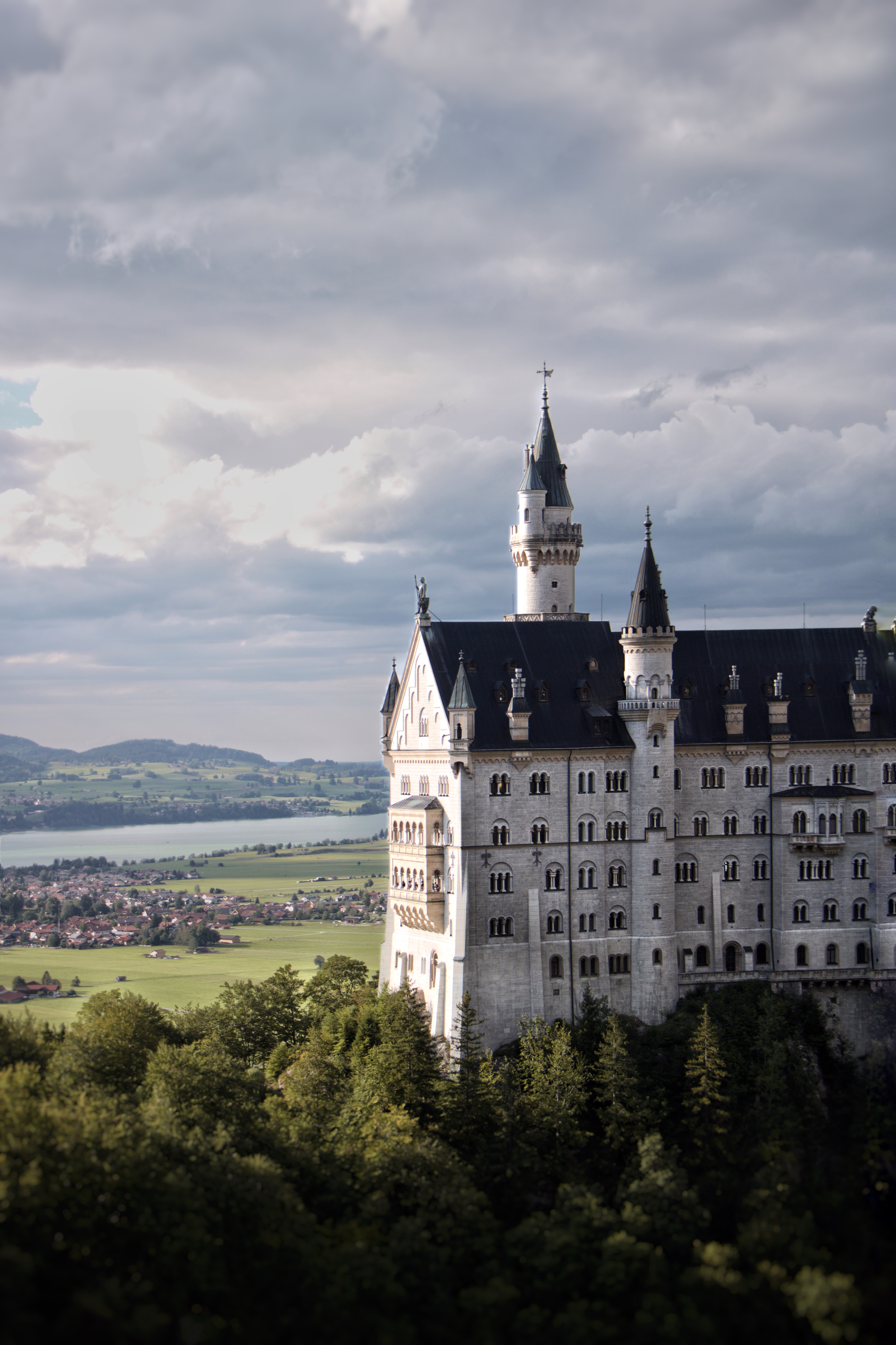 Neuschwanstein Castle surrounded by forest